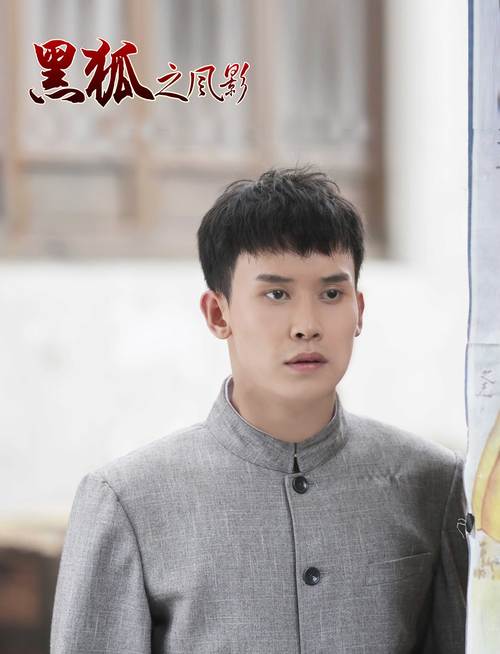 黑狐剧情分集介绍,电视连续剧黑狐剧情介绍