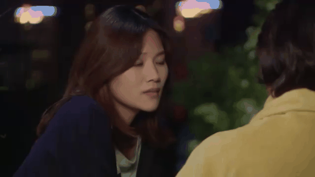 电视剧野鸭子剧情介绍,电视剧野鸭子第一部演员表