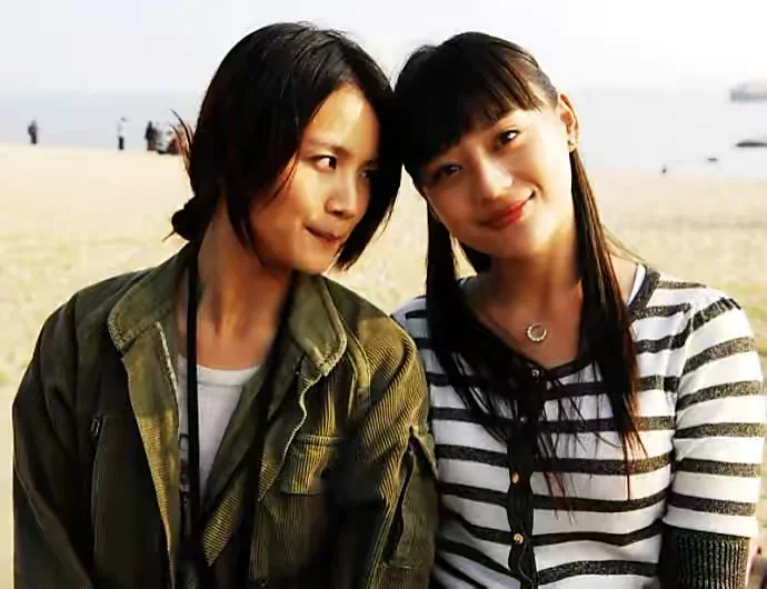 电视剧野鸭子剧情介绍,电视剧野鸭子第一部演员表