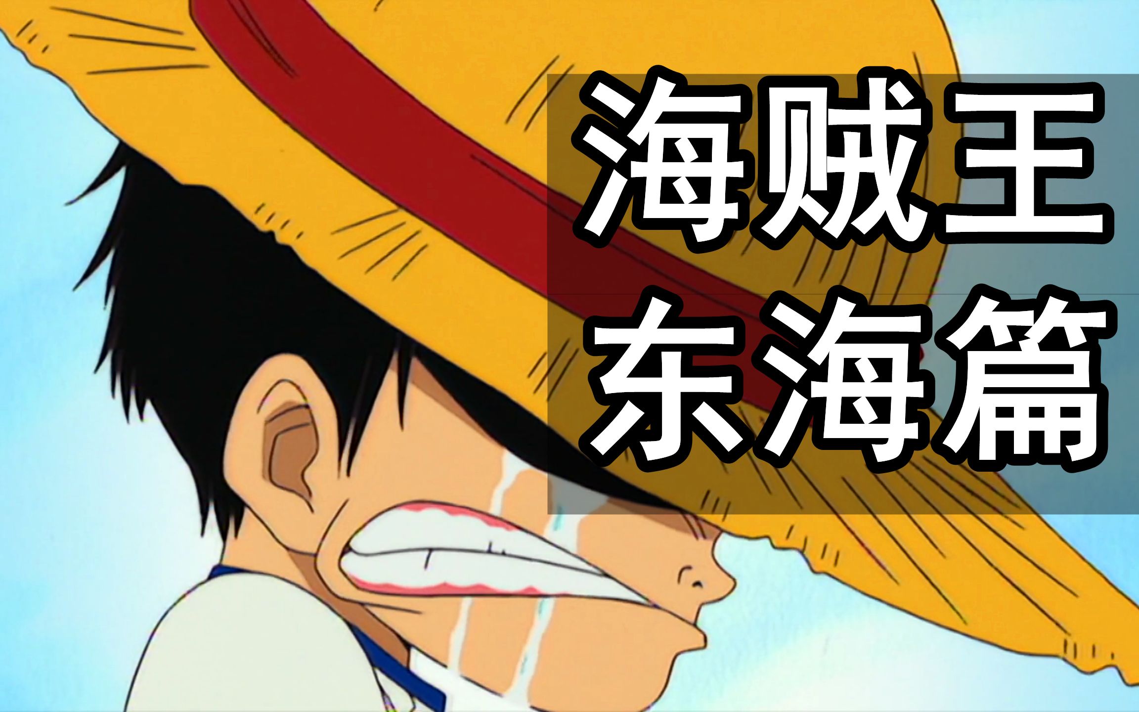 海贼王分集剧情介绍,海贼王分集剧情介绍536集