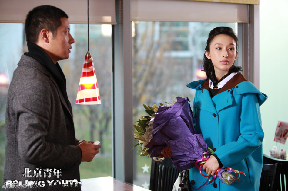 电视剧北京青年在线观看,北京青年电视剧在线播放