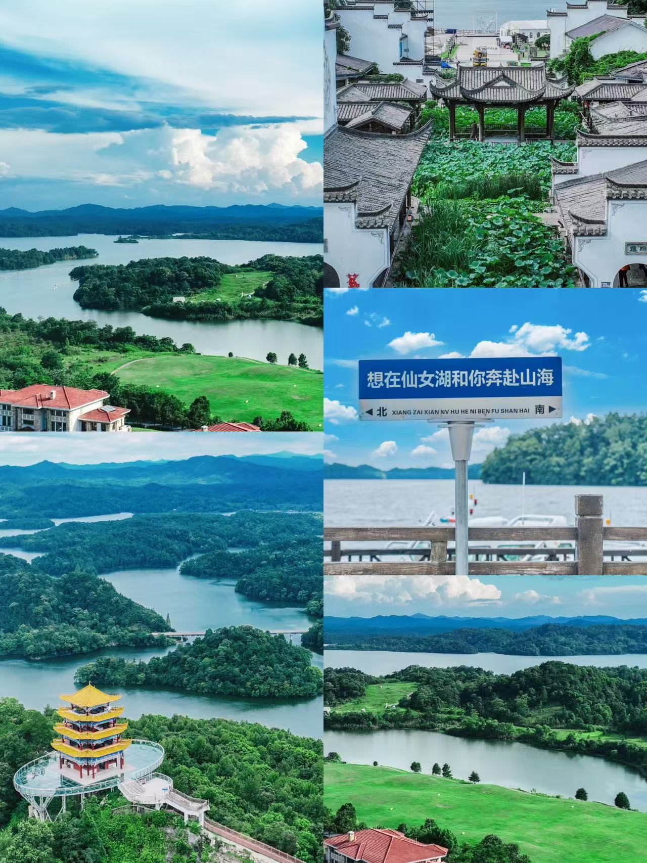 仙女湖剧情介绍,仙女湖全部演员表