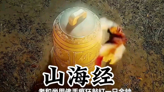 山海经之伏魔正道在线观看,山海经之伏魔正道免费观看视频优酷