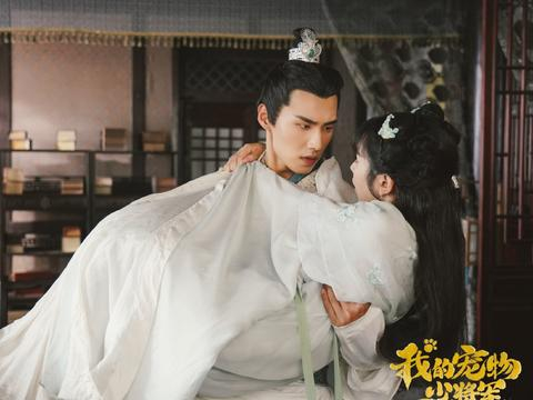 真爱遇到他剧情介绍,真爱遇到他演员表介绍