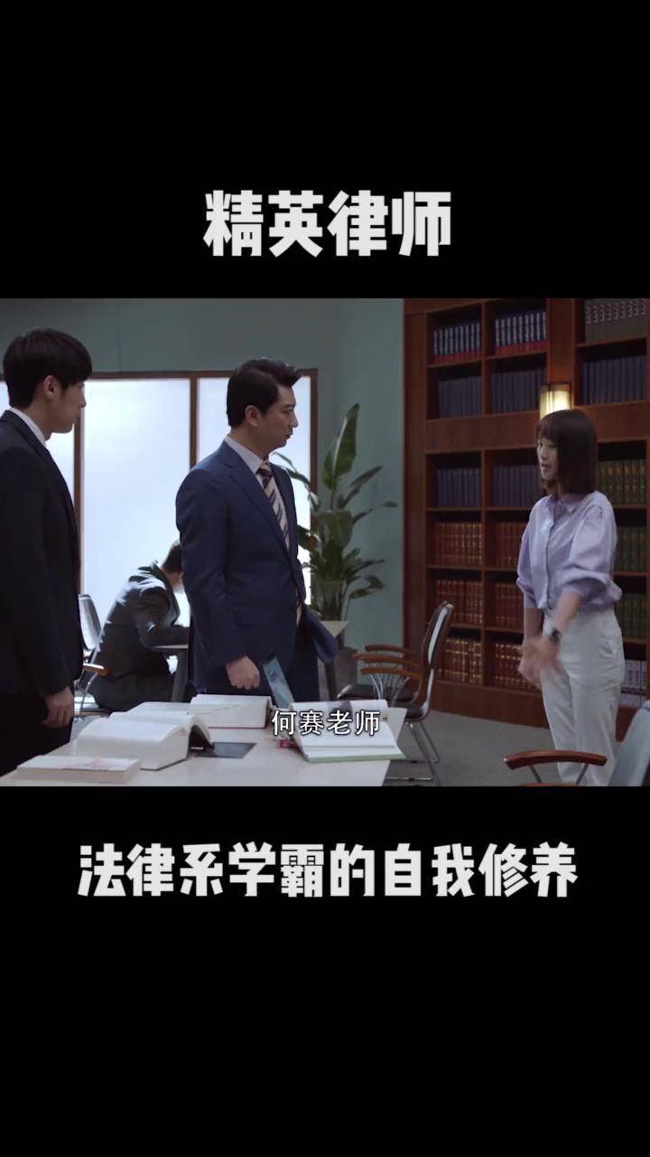 精英律师剧情介绍,精英律师剧情介绍简介