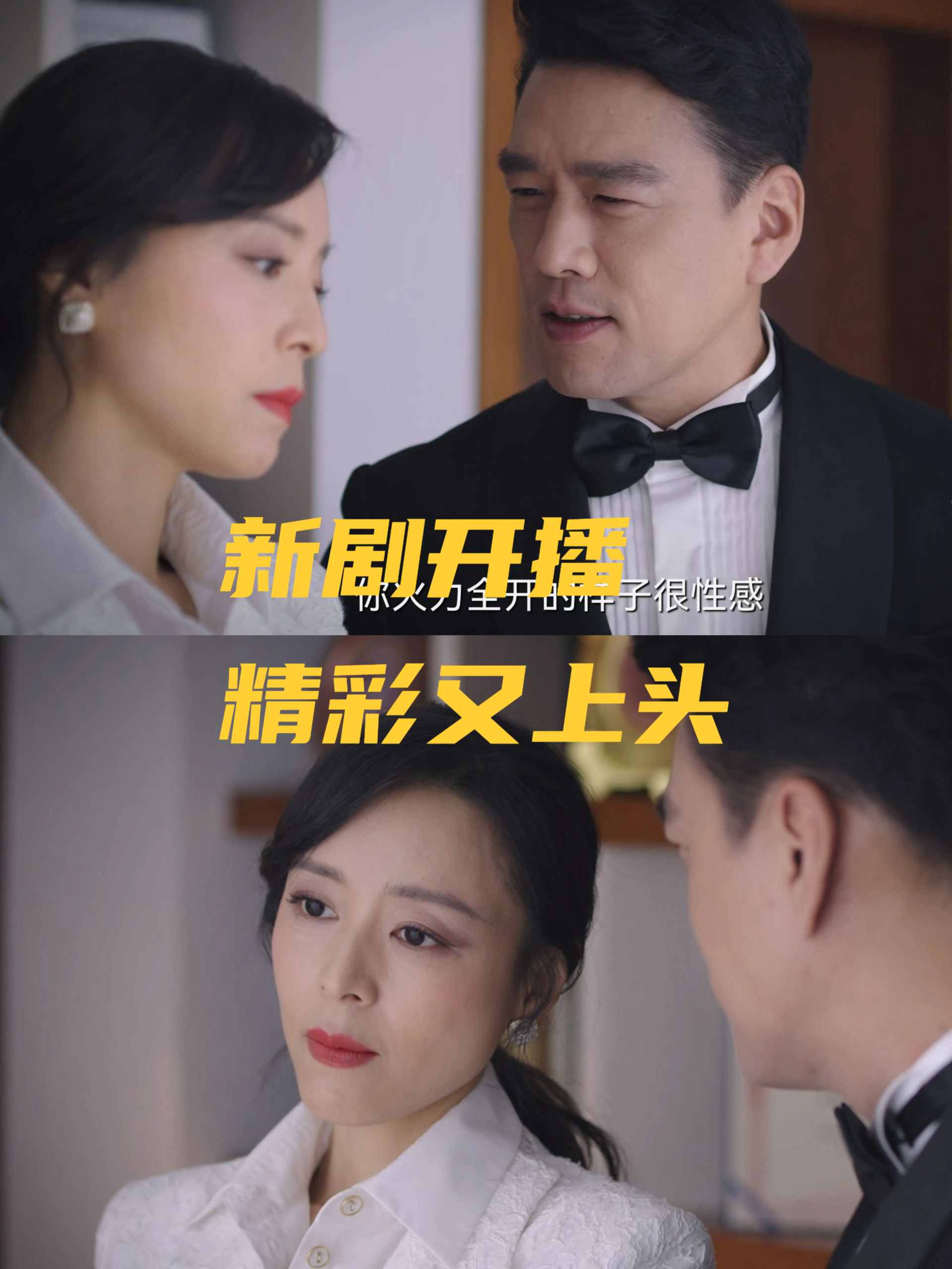 她的城剧情介绍,她的城主演