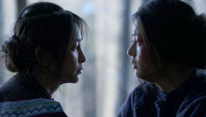 雪花秘扇剧情,雪花秘扇剧情孩子为什么冻死