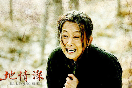 大地情深剧情介绍,大地情深电视剧结局