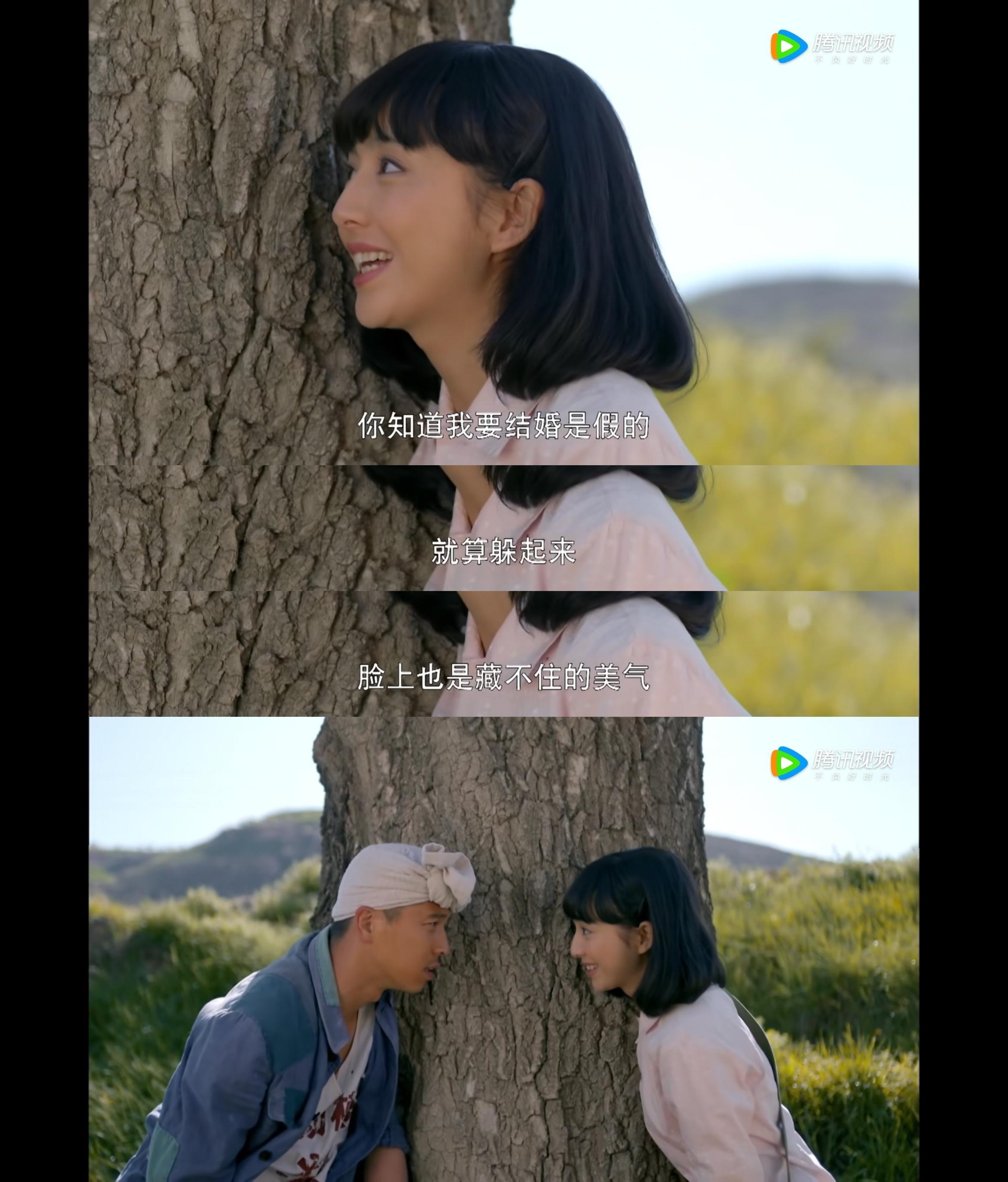 平凡的世界剧情,平凡的世界剧情介绍电视猫