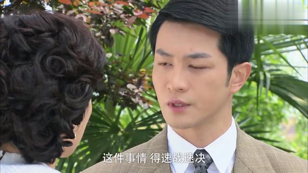 天涯赤子心剧情分集介绍,天涯赤子心电视剧全集大结局