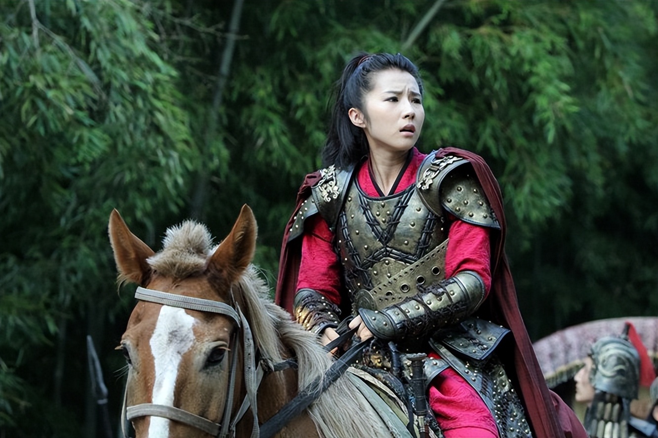 电视剧将军剧情介绍,将军电视剧百度百科