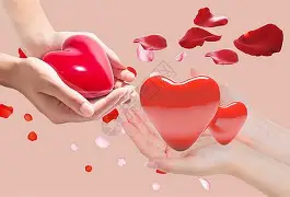 情感战争剧情介绍,情感战争剧情介绍大全