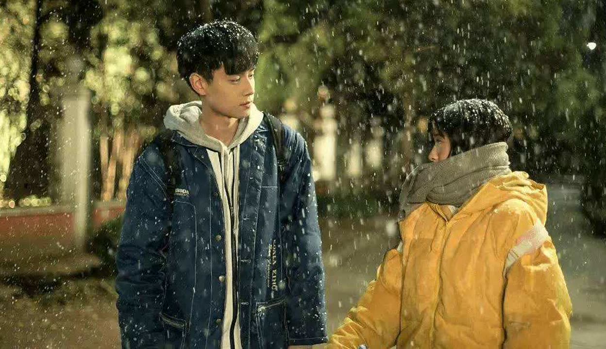 一生只爱你剧情分集介绍,一生只爱你 电视剧结局介绍