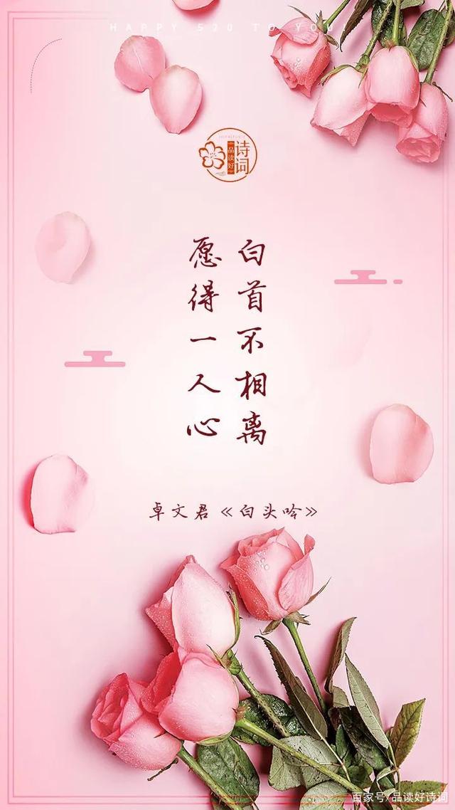 爱情心心相印剧情介绍,爱情心心相印剧情介绍分集