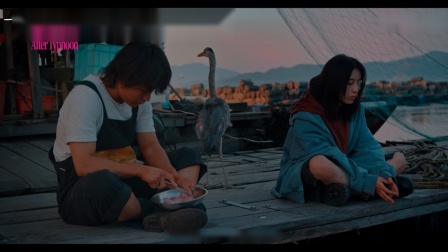 终极台风电影在线观看,终极台风电影免费完整版