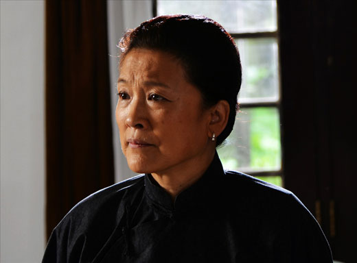 独刺剧情分集介绍,电视剧独刺内容简介