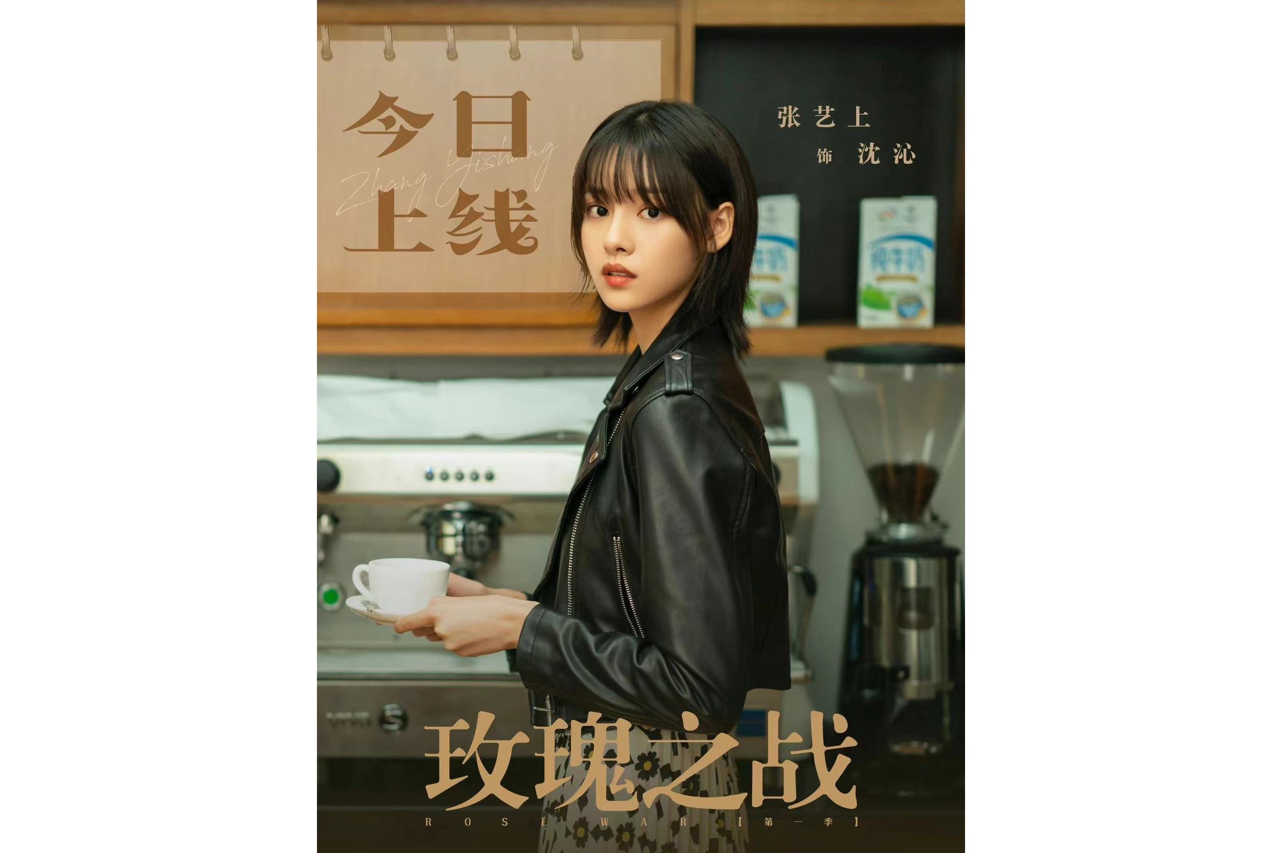 玫瑰之战电视剧剧情介绍,玫瑰之战简介