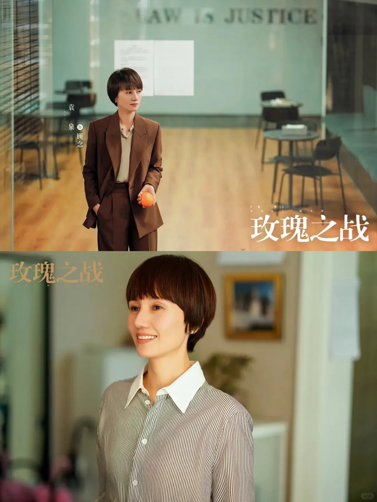 玫瑰之战电视剧剧情介绍,玫瑰之战简介