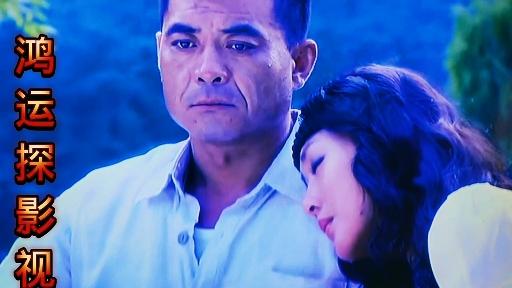 独立纵队剧情介绍,独立纵队电视剧百度百科