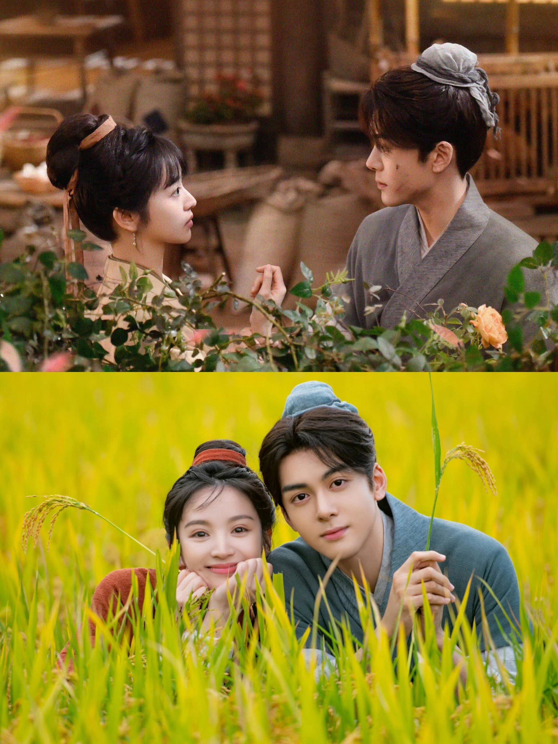 为有暗香来电视剧剧情介绍,为有暗香来电视剧剧情介绍免费观看