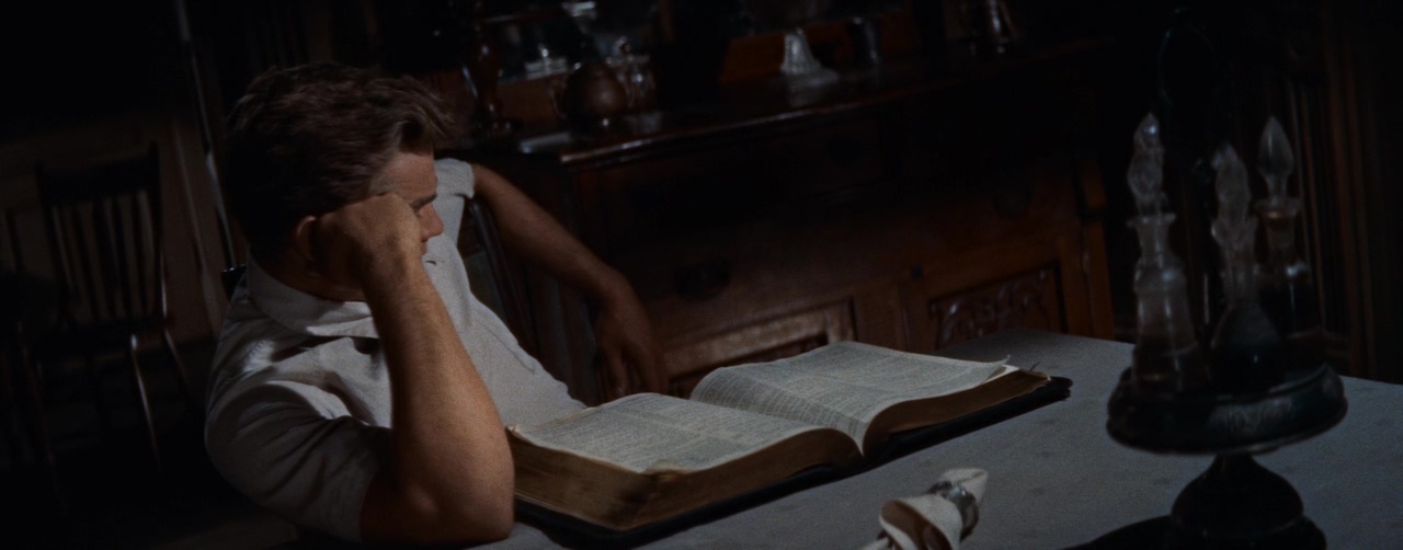 伊甸园之东剧情介绍,伊甸园之东第四十集