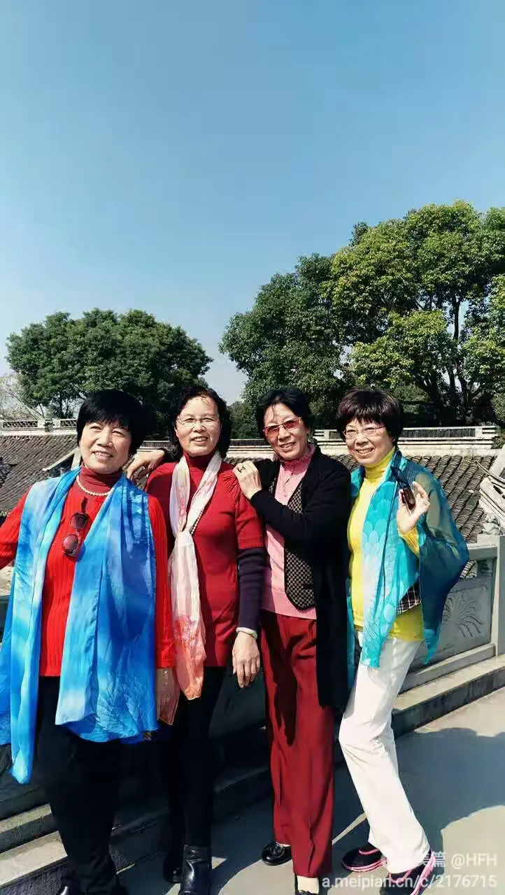 七妹剧情介绍,七妹剧情介绍大全