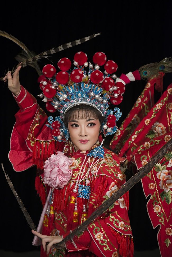 穆桂英挂帅剧情介绍,穆桂英挂帅演员表大全