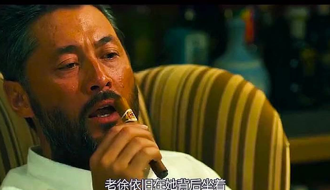 大追捕剧情介绍,大追捕电视剧的真相是什么