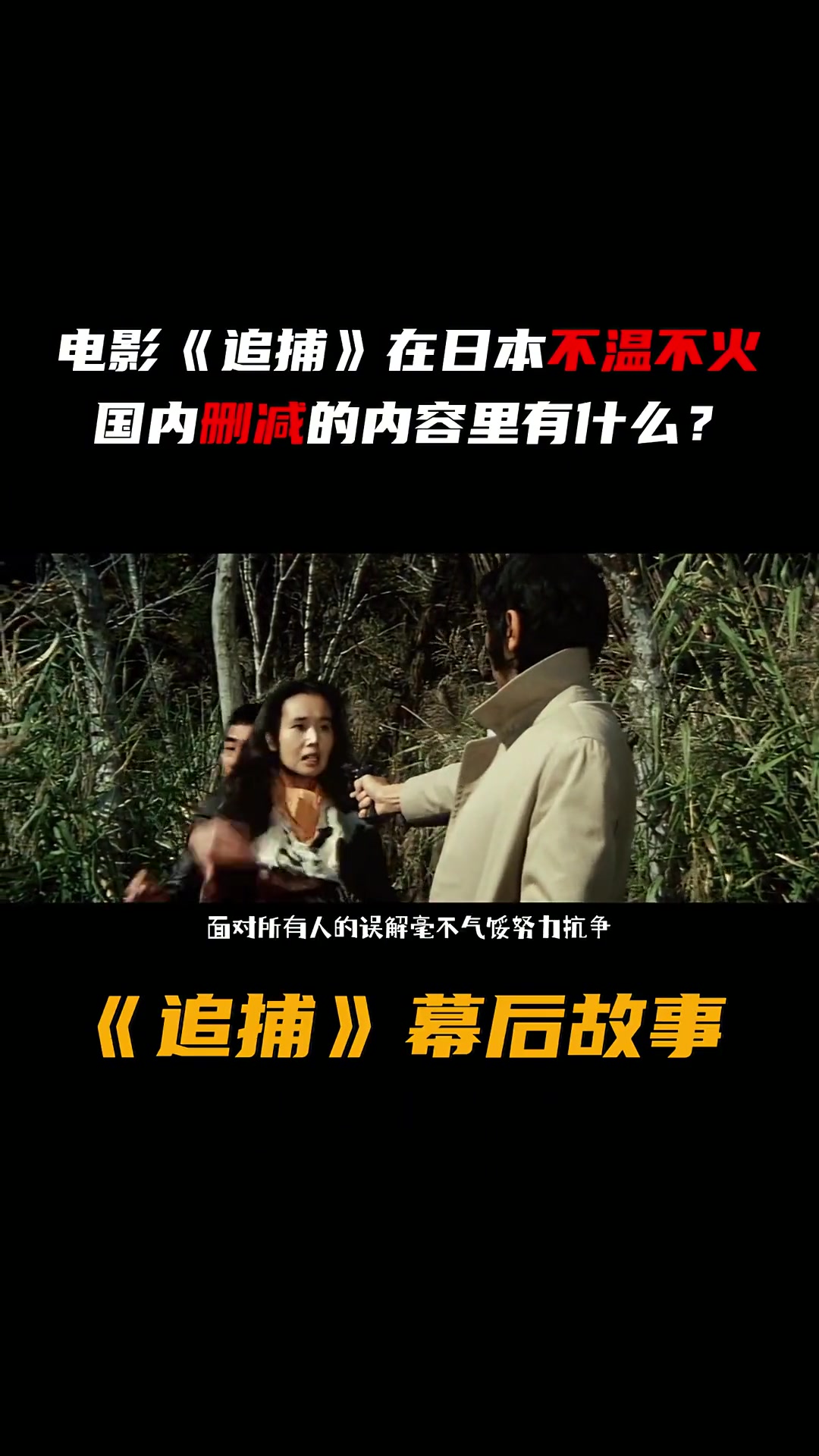 大追捕剧情介绍,大追捕电视剧的真相是什么