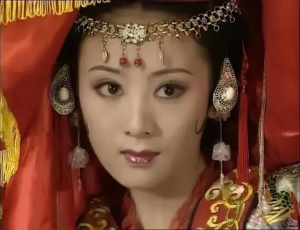 上错花轿嫁对郎剧情介绍,上错花轿嫁对郎的演员是谁