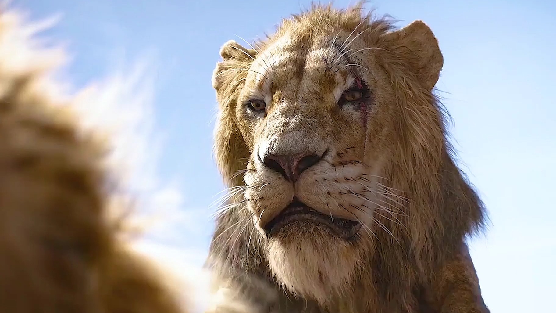 狮子王电影2019在线看高清,狮子王电影观看免费