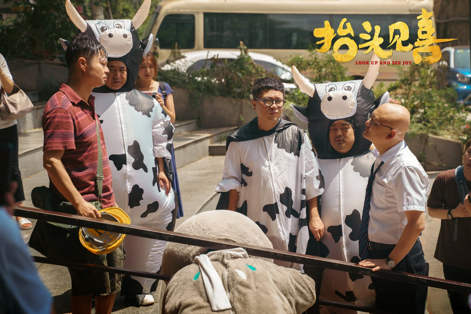 抬头见喜剧情介绍,抬头见喜大结局