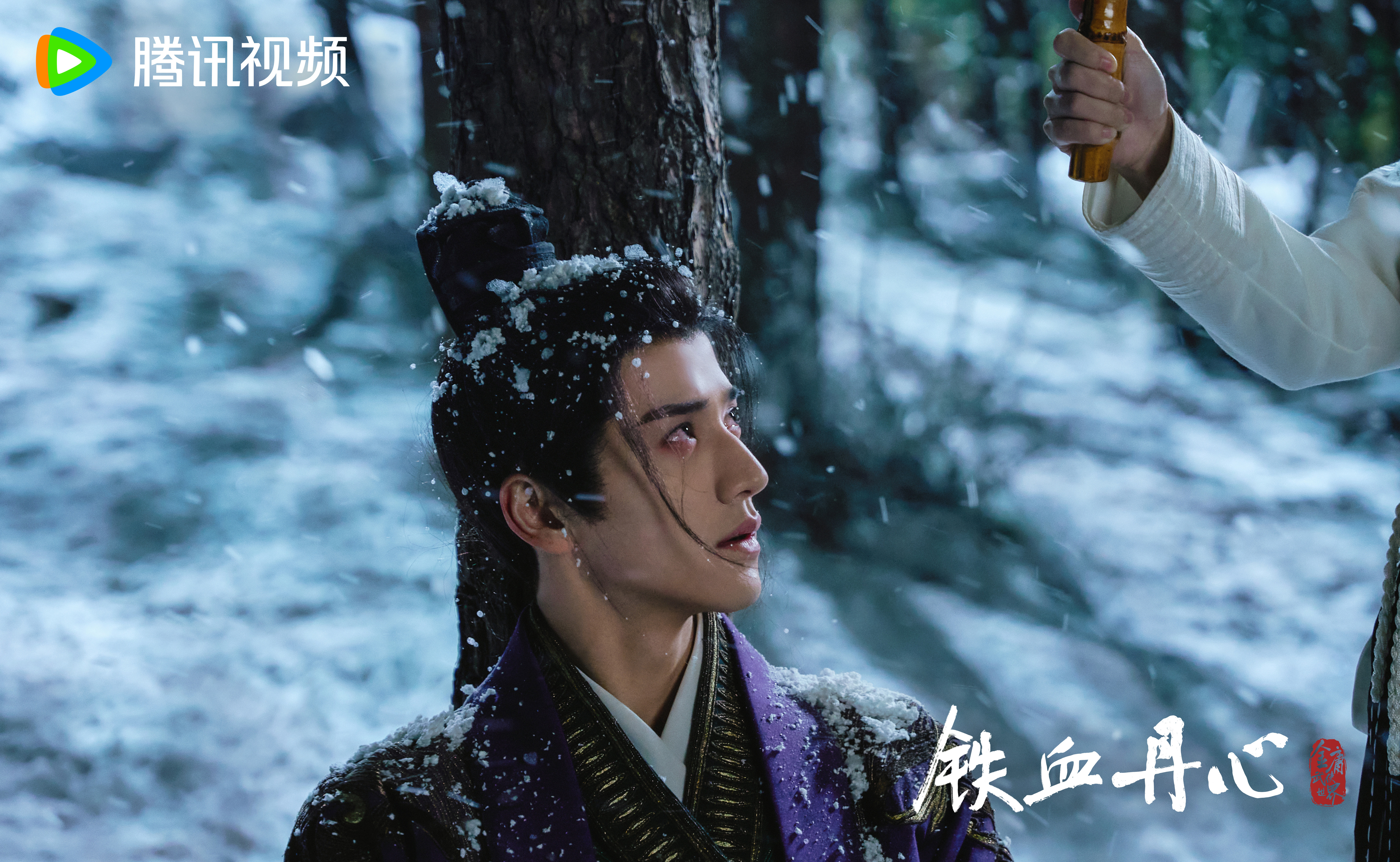 侠骨丹心剧情介绍,侠骨丹心 演员表