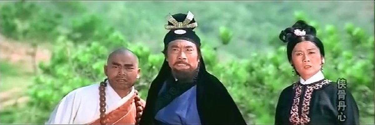 侠骨丹心剧情介绍,侠骨丹心 演员表