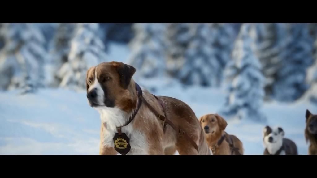 野性的呼唤2020在线观看,野性的呼唤电影免费观