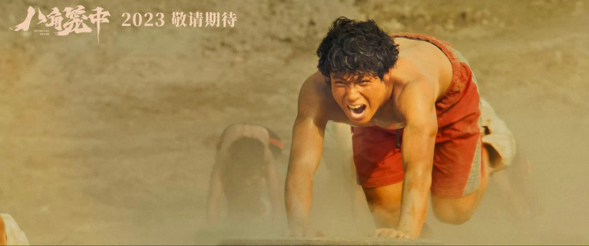 八角笼中电影剧情介绍,八角笼中免费高清电影