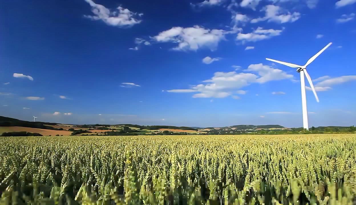 风车在线观看,风车在线观看免费完整电影