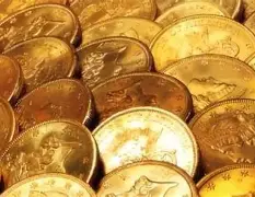 黄金密码在线观看,黄金密码在线免费观看