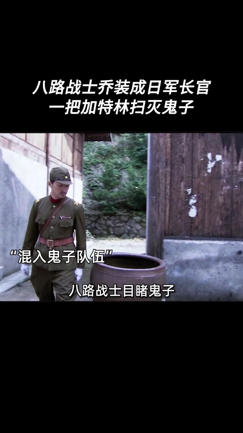 在线观看黑狐,黑狐全集视频在线观看