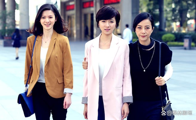 将婚姻进行到底剧情介绍,将婚姻进行到底剧情介绍苏岩片段