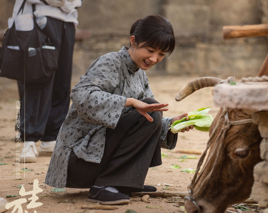 苦菜花剧情介绍,电视剧苦菜花剧情介绍