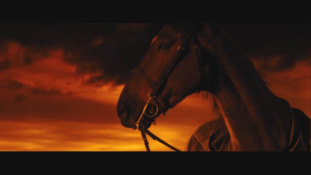 战马电影在线观看,战马电影在线观看国语完整版战马在线