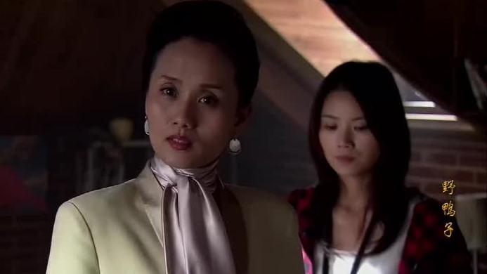 野鸭子电视剧全集在线观看,野鸭子电视剧全集在线观看免费