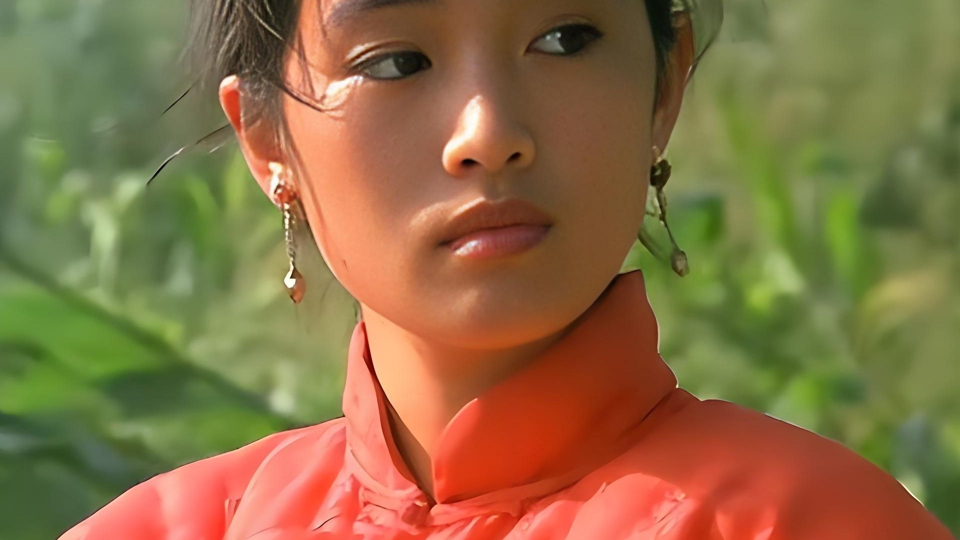 电视剧红高粱在线观看,电视连续剧红高粱在线观看