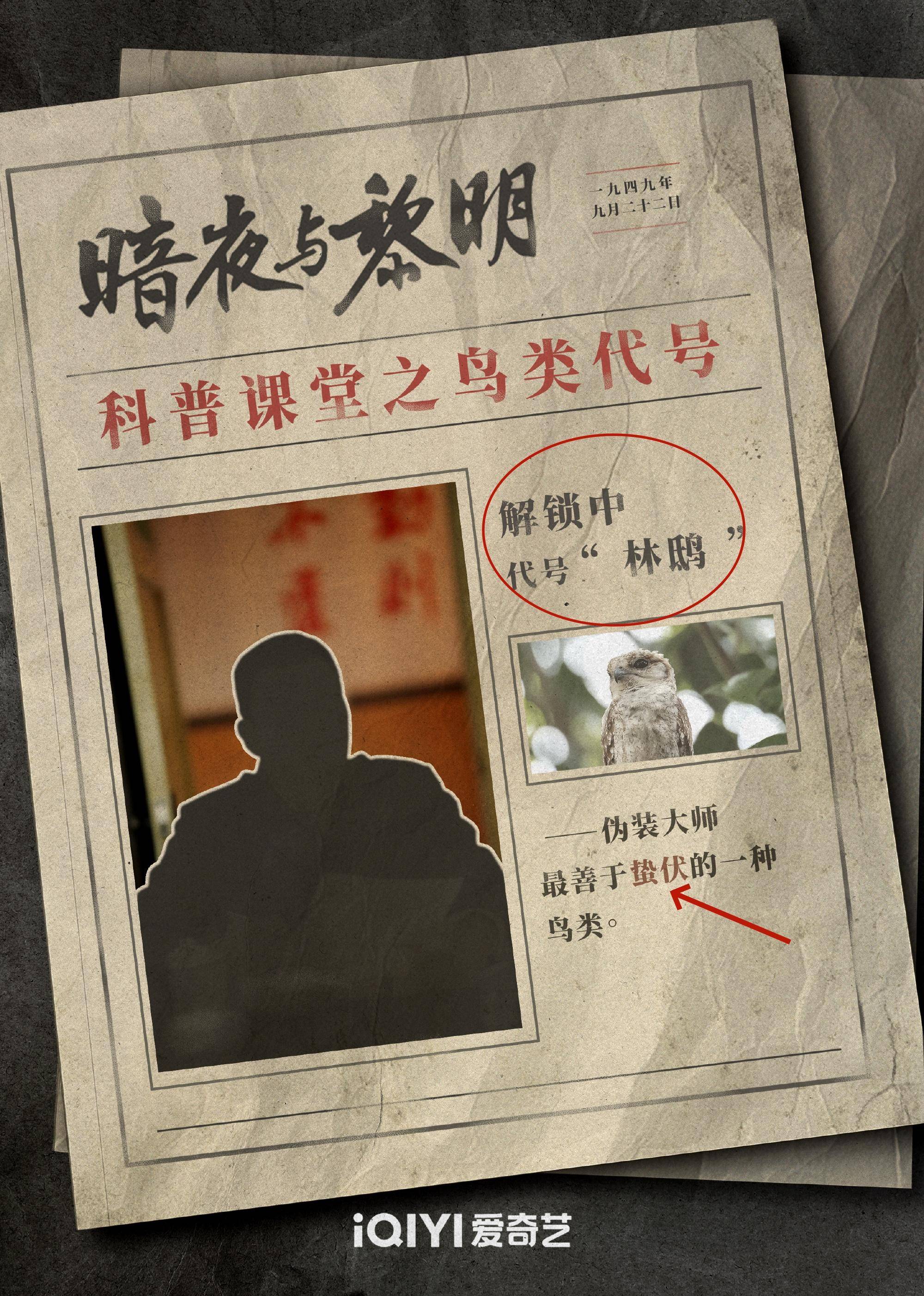 暗夜与黎明剧情,暗夜与黎明