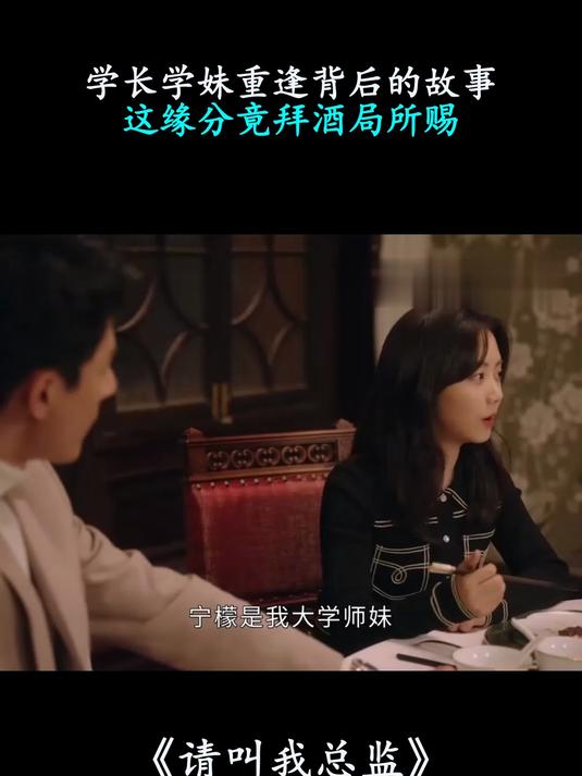 请叫我总监剧情介绍,请叫我总监免费观看