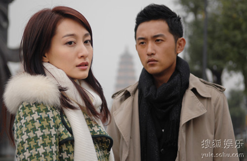 野鸭子剧情,野鸭子剧情解析