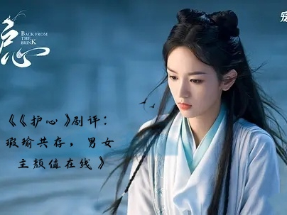 护心剧情介绍,护心剧情介绍分集