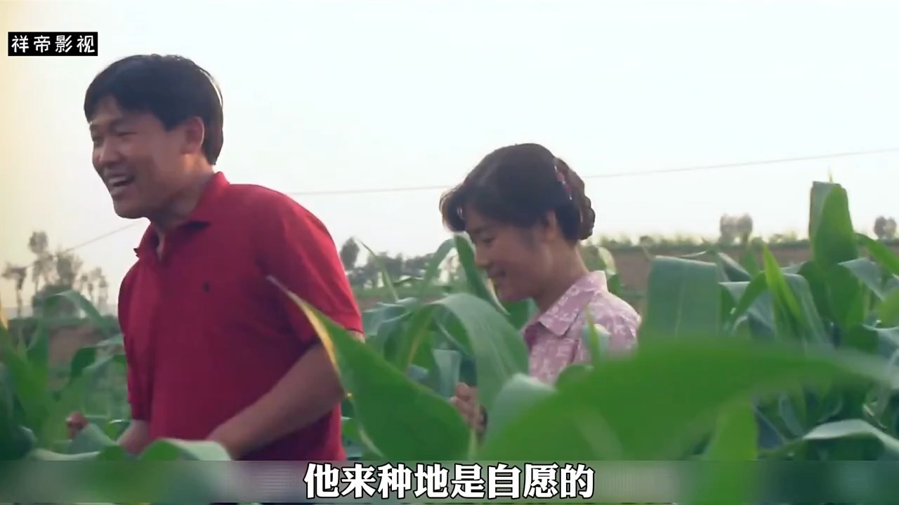 乡村爱情故事剧情,乡村爱情全集