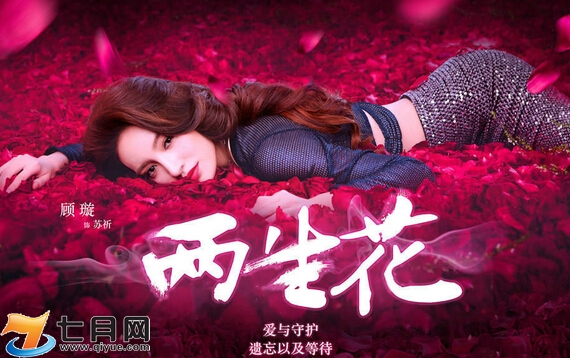 两生花分集剧情介绍,连续剧两生花剧情介绍